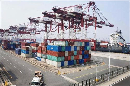 2024年2月货物进出口6.2%增长解析