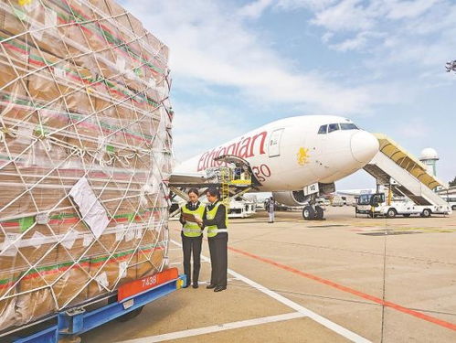 国内首条金砖跨境电商空运专线累计出口包裹突破4700万件，助推经贸合作提质升级