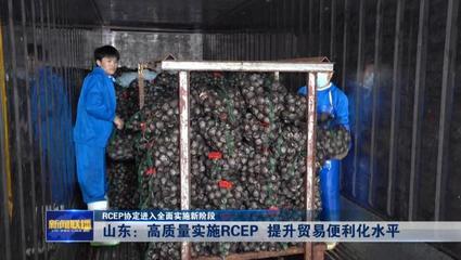 RCEP协定进入全面实施新阶段——山东高质量实施RCEP提升贸易便利化水平，推动货物进出口发展